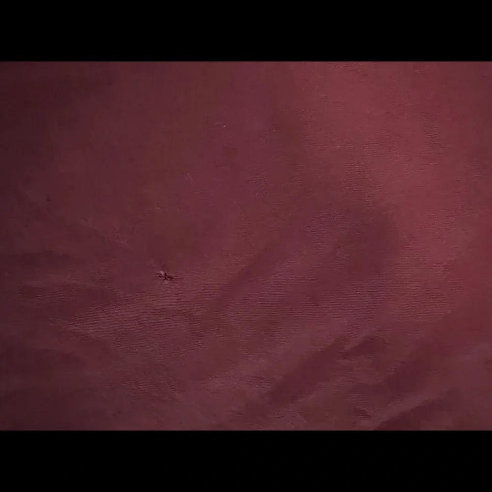 AE tee - Picture 3 of 3